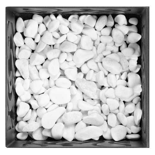 Биокамин Firelight BFP/T-2020 Black