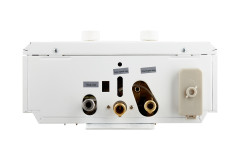 Водонагреватель газовый Arideya JSD 20 G1 (P) (Пионы)