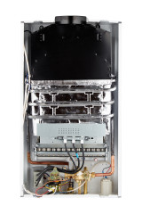 Водонагреватель газовый Arideya JSD 20 G1 (P) (Пионы)