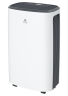 Осушитель воздуха серии CARISMA Loft RD-CR16-E